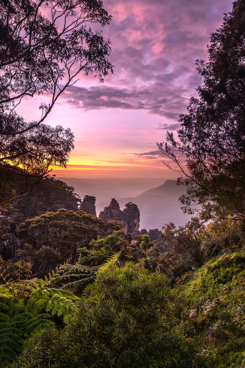 "Sisters and Ferns"Taken at Echo Point Katoomba,Blue Mountains