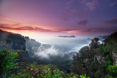 "Sisters and Solitary"Mt Solitary is isolated in the centre by the mist in the Jamison Valley,Katoomba